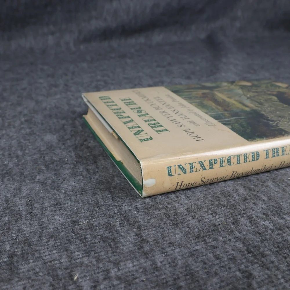 Vintage Unexpected Treasure Hope Sawyer Buyukmihci Green HC DJ 1st Ed 1968 USA